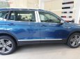 Volkswagen Tiguan 2018 - Bán ô tô Volkswagen Tiguan đời 2018, màu xanh lam, nhập khẩu nguyên chiếc