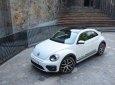 Volkswagen Beetle Dune 2018 - Bán Volkswagen Beetle Dune năm 2018, màu trắng, xe nhập