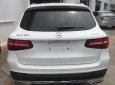 Mercedes-Benz GLC-Class 2019 - Bán xe Mercedes GLC250 mới nhất chính hãng giao ngay