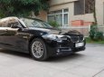 BMW 5 Series 520i 2015 - Bán BMW 5 Series 520i năm 2015, màu đen 