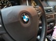 BMW 5 Series 520i 2015 - Bán BMW 5 Series 520i năm 2015, màu đen 