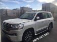 Toyota Land Cruiser VX-R 4.6 UAE 2018 - Bán Toyota Land Cruiser VX-R 4.6 Trung Đông 2018