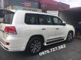 Toyota Land Cruiser VX-R 4.6 UAE 2018 - Bán Toyota Land Cruiser VX-R 4.6 Trung Đông 2018