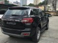 Ford Everest Titanium 2.0L 4x4 AT 2018 - Bán Ford Everest Titanium 2.0L 4x4 AT năm sản xuất 2018, màu đen, xe mới chính hãng 100%