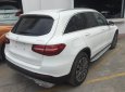 Mercedes-Benz GLC-Class 2019 - Bán xe Mercedes GLC250 mới nhất chính hãng giao ngay