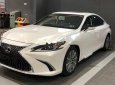 Lexus ES 250 2018 - Bán Lexus ES 250 2019 hoàn toàn mới sẽ đến tay khách hàng trong tháng 1/2019