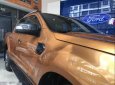 Ford Ranger  Wildtrak  2.0   2019 - Bán Ford Ranger Wildtrak  2.0 2019, nhập khẩu nguyên chiếc, mới 100%