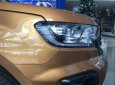 Ford Ranger  Wildtrak  2.0   2019 - Bán Ford Ranger Wildtrak  2.0 2019, nhập khẩu nguyên chiếc, mới 100%