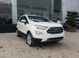 Ford EcoSport Titanium 1.5L AT 2018 - Bán ô tô Ford EcoSport Titanium 1.5L AT đời 2018, màu trắng, mới 100%