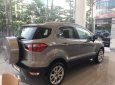 Ford EcoSport Ambiente MT 2018 - Bán ô tô Ford EcoSport 2018, màu xám, xe nhập