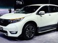 Honda CR V   2019 - Cần bán Honda CR V đời 2019, màu trắng, nhập khẩu nguyên chiếc