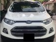 Ford EcoSport Titanium 1.5L AT	 2015 - Cần bán gấp Ford EcoSport Titanium 1.5L AT sản xuất năm 2015, màu trắng, 500 triệu