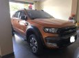 Ford Ranger 2016 - Cần bán gấp Ford Ranger đời 2016, nhập khẩu