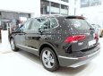 Volkswagen Tiguan 2.0 2019 - Cần bán Volkswagen Tiguan 2.0 năm 2019, màu đen 