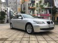 BMW 5 Series 530i 2007 - Bán BMW 5 Series 530i đời 2007, màu xám, xe nhập