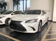 Lexus ES 250 2018 - Bán Lexus ES 250 2019 hoàn toàn mới sẽ đến tay khách hàng trong tháng 1/2019