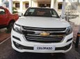 Chevrolet Colorado  2.5 2019 - Bán Chevrolet Colorado 2.5 năm 2019, màu trắng, nhập khẩu, 651tr