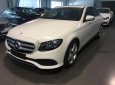 Mercedes-Benz E class E250 2018 - Bán Mercedes E250 giá tốt, khuyến mại trao tay giao ngay tức thì, Lh 0965075999