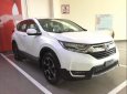 Honda CR V  1.5E 2019 - Bán Honda CR V đời 2019, màu trắng, xe nhập, xe mới 100%