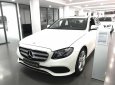 Mercedes-Benz E class E250 2018 - Bán Mercedes E250 giá tốt, khuyến mại trao tay giao ngay tức thì, Lh 0965075999