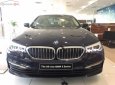 BMW 5 Series 520i 2019 - Cần bán BMW 5 Series 520i đời 2019, màu xanh lam, xe nhập