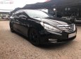 Hyundai Sonata 2010 - Bán Hyundai Sonata 2010, màu đen, nhập khẩu nguyên chiếc  