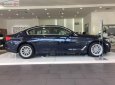 BMW 5 Series 520i 2019 - Cần bán BMW 5 Series 520i đời 2019, màu xanh lam, xe nhập