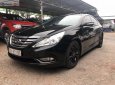 Hyundai Sonata 2010 - Bán Hyundai Sonata 2010, màu đen, nhập khẩu nguyên chiếc  