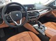 BMW 5 Series 530i 2019 - Bán ô tô BMW 5 Series 530i năm 2019, màu đen, xe nhập