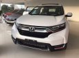 Honda CR V 2019 - Bán ô tô Honda CR V năm 2019, màu bạc, nhập khẩu nguyên chiếc