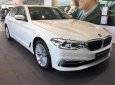 BMW 5 Series 530i 2019 - Cần bán xe BMW 5 Series 530i đời 2019, màu trắng, nhập khẩu nguyên chiếc