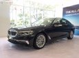 BMW 5 Series 530i 2019 - Bán ô tô BMW 5 Series 530i năm 2019, màu đen, xe nhập