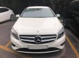 Mercedes-Benz A class A200 2014 - Bán ô tô Mercedes A200 đời 2015, màu trắng, nhập khẩu nguyên chiếc