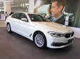 BMW 5 Series 530i 2019 - Cần bán xe BMW 5 Series 530i đời 2019, màu trắng, nhập khẩu nguyên chiếc