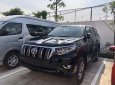 Toyota Land Cruiser 2019 - Bán Toyota Land Cruiser năm sản xuất 2019, màu đen, nhập khẩu nguyên chiếc