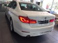 BMW 5 Series 530i 2019 - Cần bán xe BMW 5 Series 530i đời 2019, màu trắng, nhập khẩu nguyên chiếc