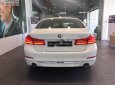 BMW 5 Series 530i 2019 - Cần bán xe BMW 5 Series 530i đời 2019, màu trắng, nhập khẩu nguyên chiếc