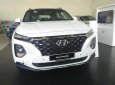 Hyundai Santa Fe 2019 - Sự chờ đợi của năm: Hyundai Santa Fe 2019 bản máy dầu 2.2 đặc biệt