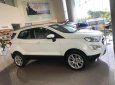 Ford EcoSport Titanium 1.5L 2019 - Bán Ford EcoSport Titanium 1.5L đời 2019, màu trắng, giá sốc cuối năm