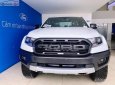 Ford Ranger Raptor 2.0L 4x4 AT 2018 - Bán xe Ford Ranger Raptor 2.0L 4x4 AT năm 2018, màu trắng 