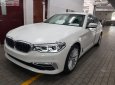 BMW 5 Series 530i 2019 - Bán BMW 5 Series 530i sản xuất năm 2019, màu trắng, xe nhập