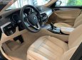 BMW 5 Series 520i 2019 - Bán ô tô BMW 5 Series 520i năm 2019, màu xanh lam, nhập khẩu