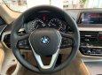 BMW 5 Series 520i 2019 - Bán ô tô BMW 5 Series 520i năm 2019, màu xanh lam, nhập khẩu