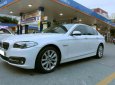 BMW 5 Series 520i 2016 - Bán BMW 5 Series 520i SX 2016, đi 22000km, còn rất mới