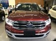 Ford Everest Titanium 2.0L 4x4 AT 2019 - Bán ô tô Ford Everest Titanium 2.0L 4x4 AT 2019, màu đỏ, xe nhập