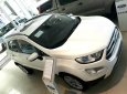 Ford EcoSport Titanium 1.5L 2019 - Bán Ford EcoSport Titanium 1.5L đời 2019, màu trắng, giá sốc cuối năm