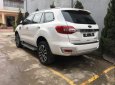 Ford Everest   Titanium 4x2  2018 - Bán Ford Everest Titanium 4x2 đời 2018, màu trắng, nhập khẩu nguyên chiếc