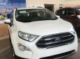 Ford EcoSport Titanium 1.5L 2019 - Bán Ford EcoSport Titanium 1.5L đời 2019, màu trắng, giá sốc cuối năm
