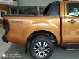 Ford Ranger Wildtrak 2.0L 4x4 AT 2019 - Bán Ford Ranger Wildtrak 2.0L 4x4 AT 2019, nhập khẩu, mới 100%