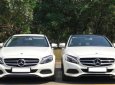 Mercedes-Benz C class C200 2017 - Bán ô tô Mercedes-Benz C200 đời 2017, màu trắng